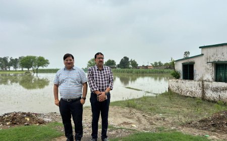 जिला बेसिक शिक्षा अधिकारी ने टीम का गठन कर किया सघन निरीक्षण