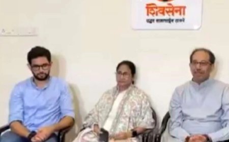 गिर सकती है मोदी सरकार, उद्धव ठाकरे से मुलाकात के बाद ममता का दावा