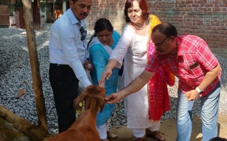 गऊ सेवा से परिवार को सुख-समृद्धि और स्वास्थ्य