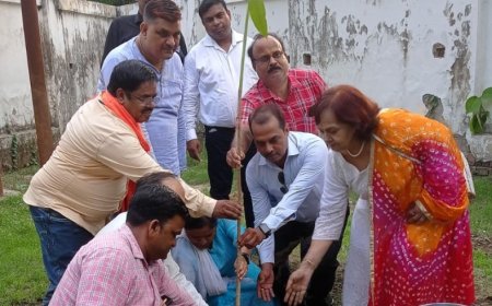 वृक्षारोपण से प्रदूषण कम होता है