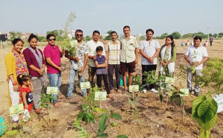 संस्था होप एण्ड हेल्प फाउंडेशन के सदस्यों ने पर्यावरण संरक्षण के अंतर्गत किया वृक्षारोपण