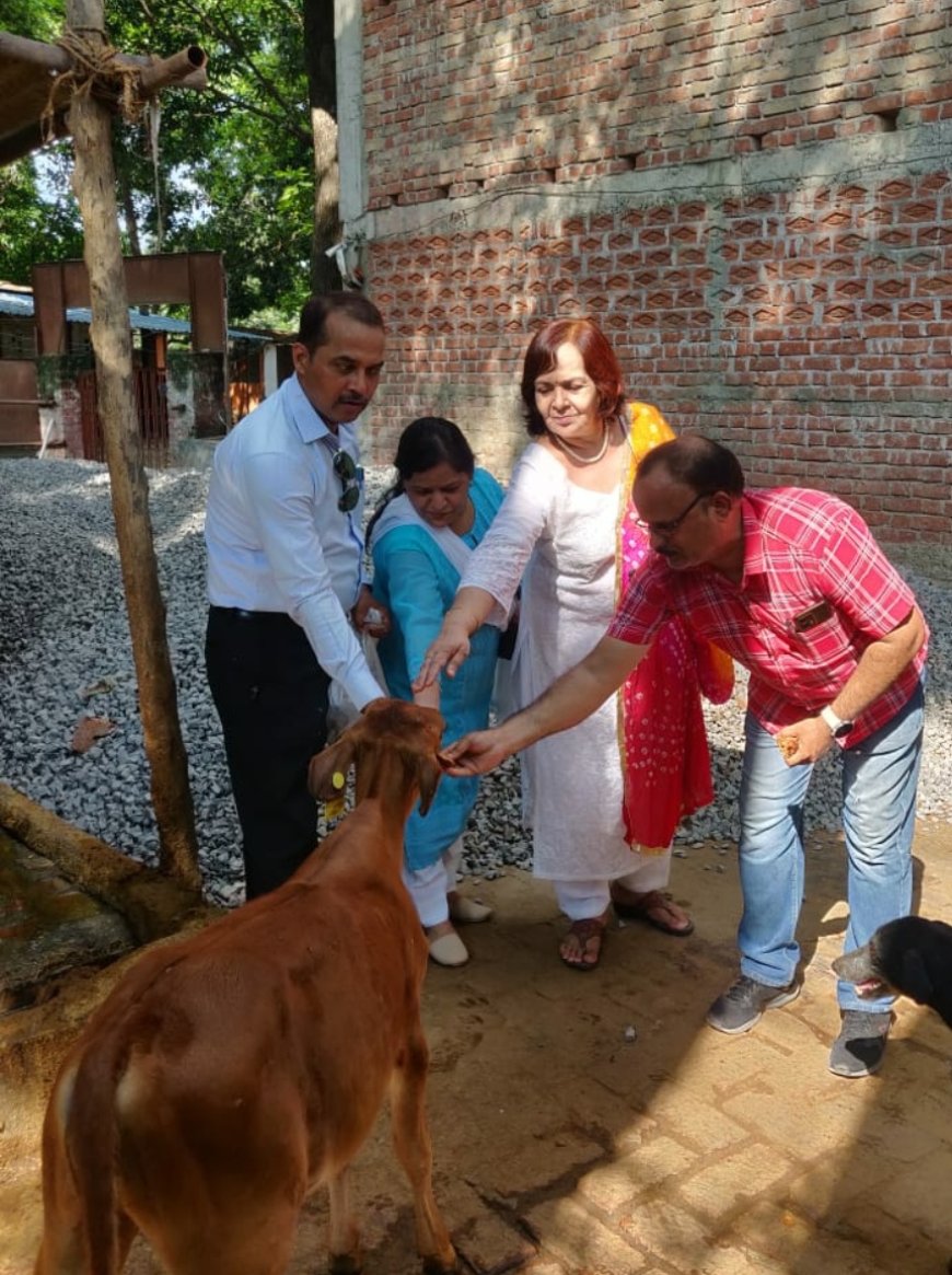 गऊ सेवा से परिवार को सुख-समृद्धि और स्वास्थ्य