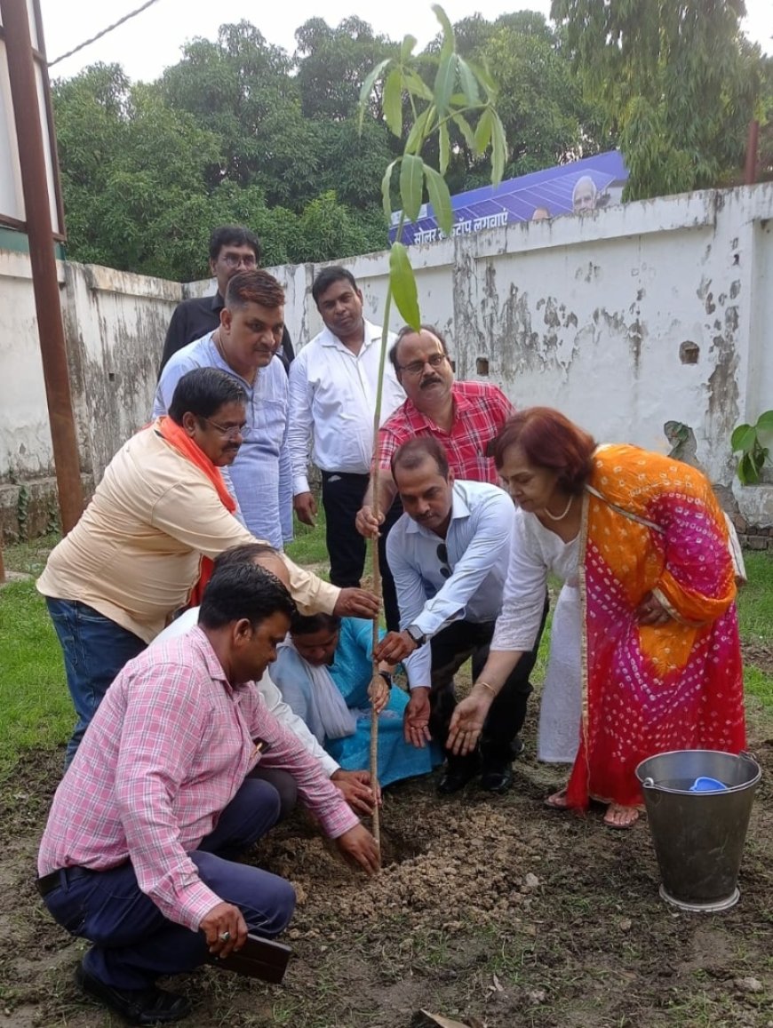वृक्षारोपण से प्रदूषण कम होता है