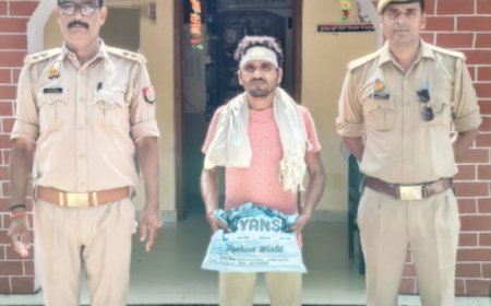 थाना पनवाड़ी की पुलिस टीम ने 755 ग्राम अवैध सूखे गांजे के साथ अभियुक्त को किया गिरफ्तार