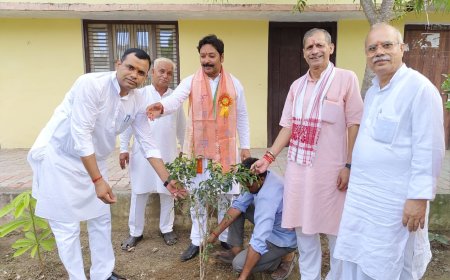 सरस्वती विद्या मन्दिर इण्टर कालेज माधवपुरी ने पौध रोपण कर मनाया स्वतंत्रता दिवस।