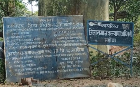 सूना जंगल, सूनसान इलाका और जंगल में लगे सरकारी बोर्ड—कहीं संकेत है, कहीं कार्यालय नदारद