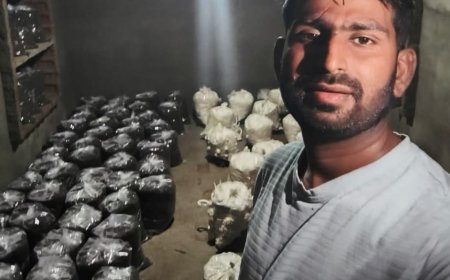 किसानों और युवाओं को आत्मनिर्भर बना रहा मशरूम