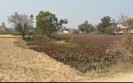 तालाब पाट कर कब्जे का आरोप, खलिहान की भूमि पर भी अवैध निर्माण का मामला आया सामने