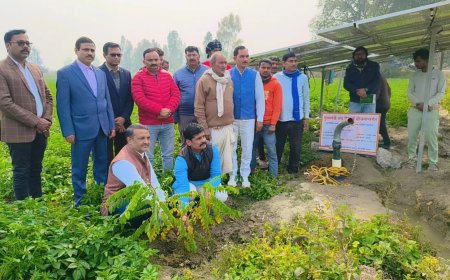 अधीक्षण अभियंता रविन्द्र सिंह ने मुख्यमंत्री लघु सिंचाई योजना के तहत कराए जा रहे कार्यों का निरिक्षण किया