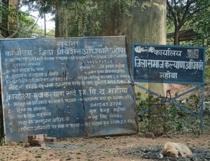 सूना जंगल, सूनसान इलाका और जंगल में लगे सरकारी बोर्ड—कहीं संकेत है, कहीं कार्यालय नदारद