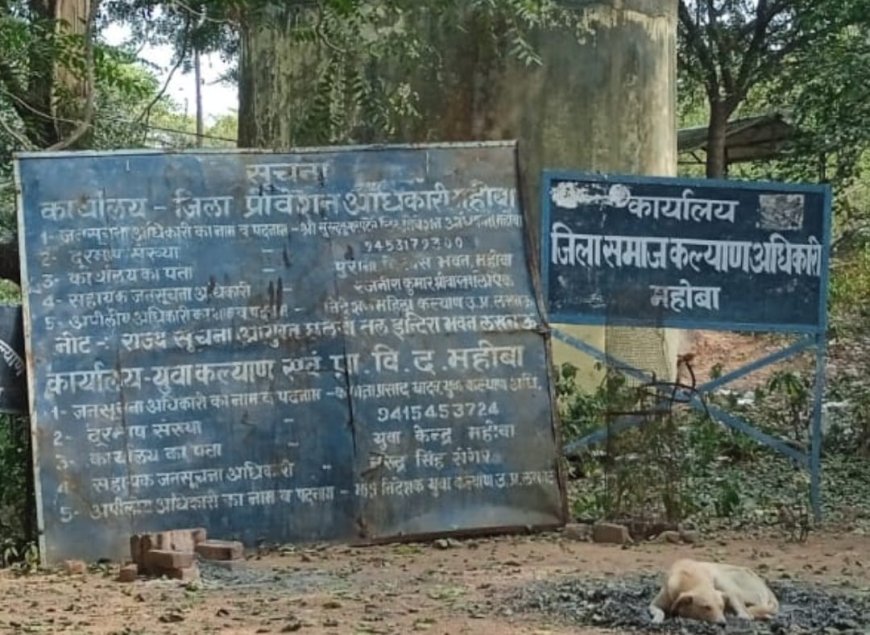 सूना जंगल, सूनसान इलाका और जंगल में लगे सरकारी बोर्ड—कहीं संकेत है, कहीं कार्यालय नदारद