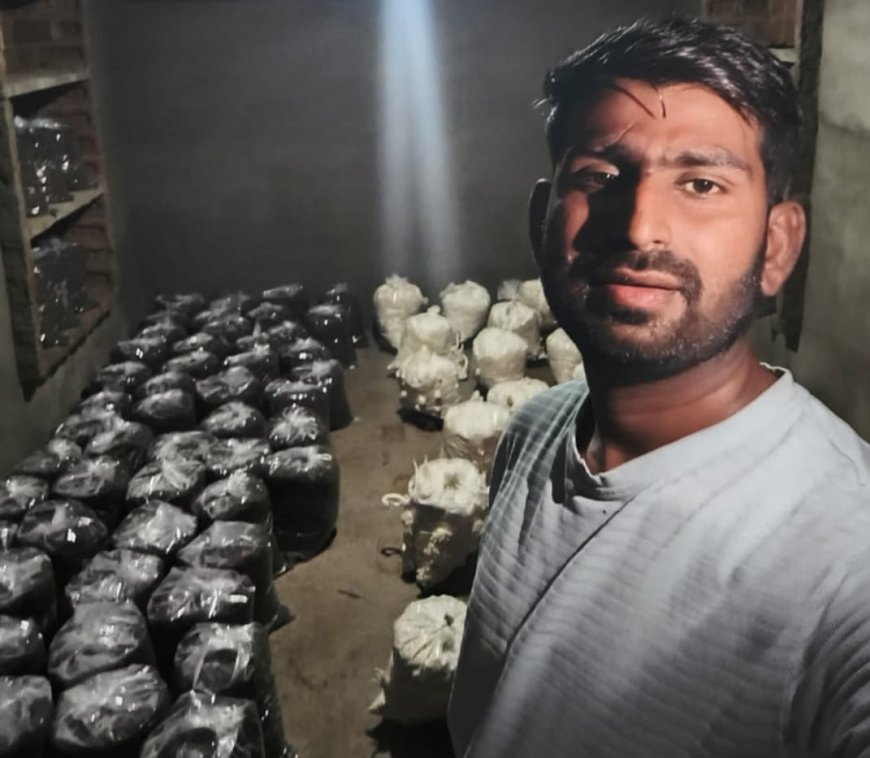 किसानों और युवाओं को आत्मनिर्भर बना रहा मशरूम