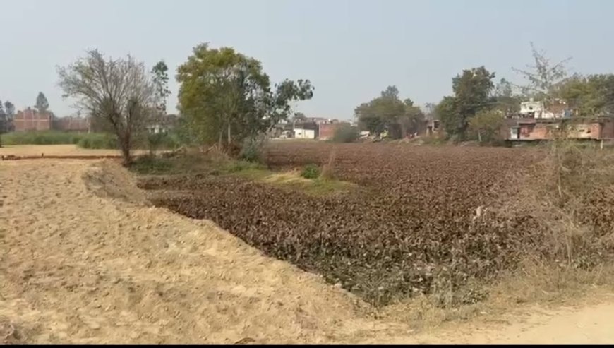 तालाब पाट कर कब्जे का आरोप, खलिहान की भूमि पर भी अवैध निर्माण का मामला आया सामने
