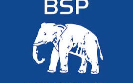 जिला अध्यक्ष  बृजेश कुमार चौधरी की अध्यक्षता मैं बसपा की बैठक सम्पन्न, संगठन विस्तार पर जोर